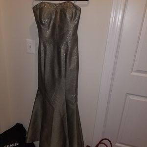 Beautiful metallic dress